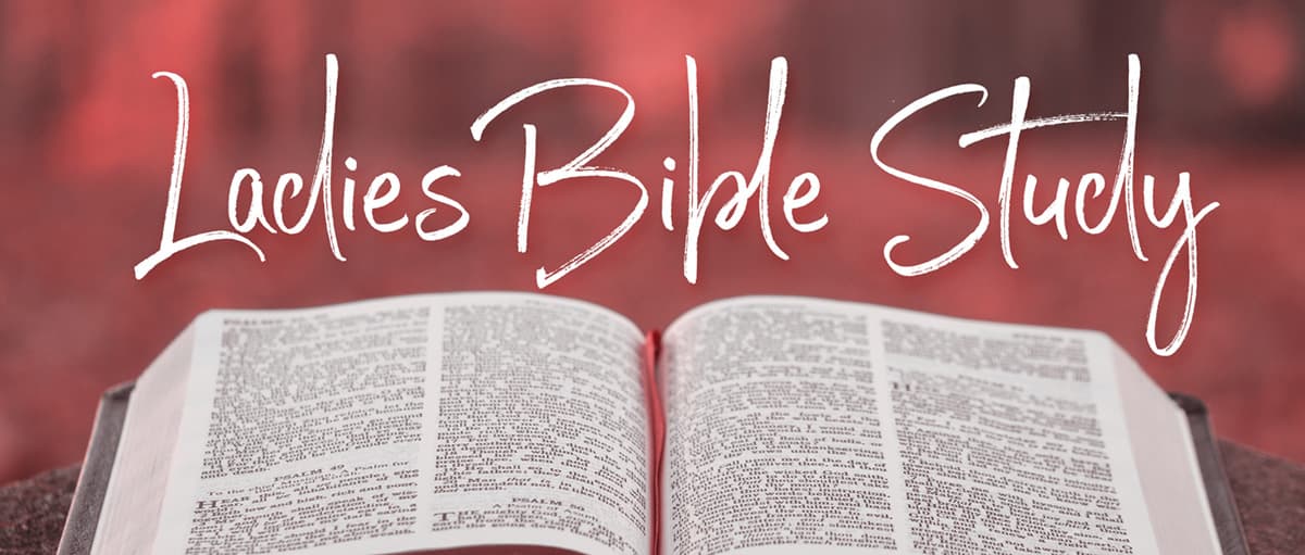 ladies bible studies